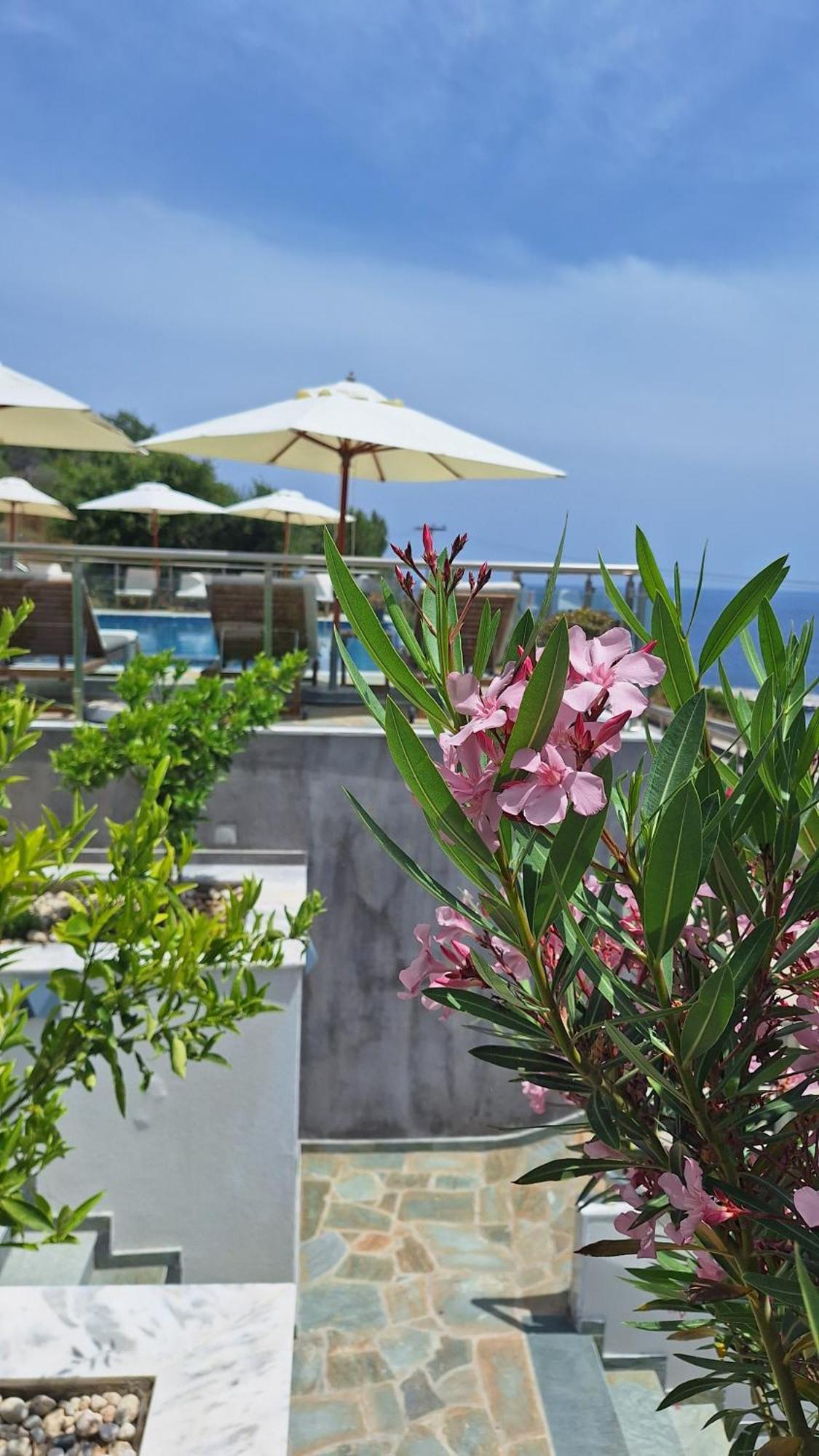 Sarti Thea Exterior foto